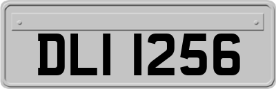 DLI1256