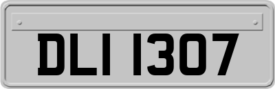 DLI1307