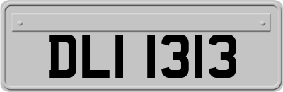 DLI1313