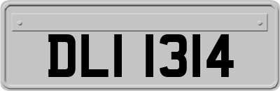DLI1314