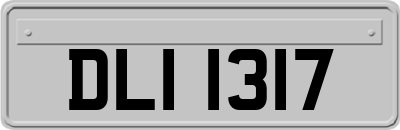 DLI1317