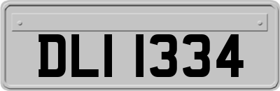 DLI1334