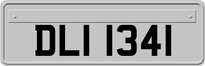 DLI1341
