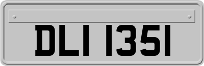 DLI1351