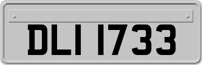 DLI1733