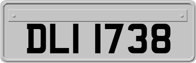 DLI1738