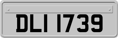 DLI1739
