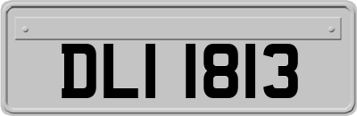 DLI1813