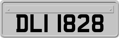 DLI1828
