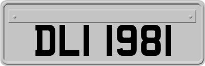 DLI1981