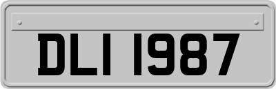 DLI1987