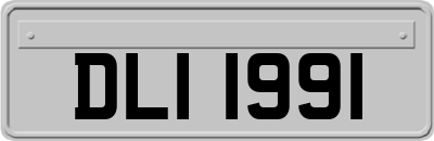 DLI1991