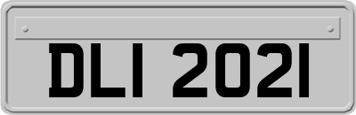 DLI2021
