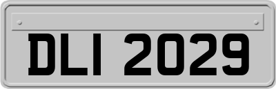 DLI2029