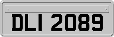 DLI2089