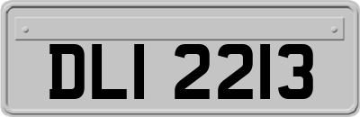DLI2213
