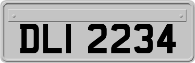 DLI2234