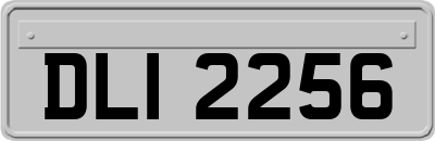 DLI2256