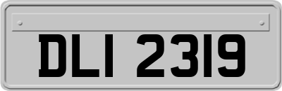 DLI2319