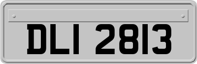 DLI2813