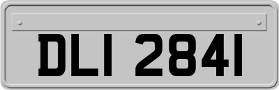 DLI2841
