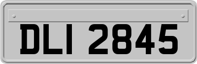 DLI2845