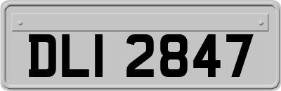 DLI2847