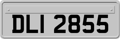 DLI2855