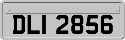 DLI2856