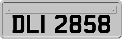 DLI2858