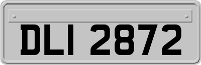 DLI2872