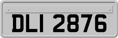 DLI2876