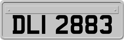 DLI2883