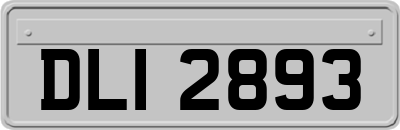 DLI2893