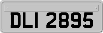 DLI2895