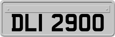 DLI2900