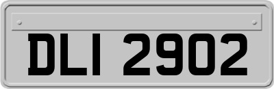 DLI2902