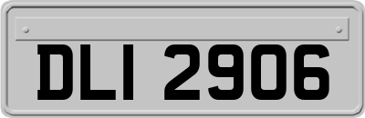 DLI2906