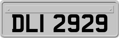 DLI2929