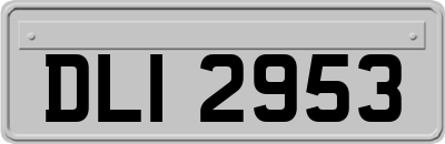 DLI2953