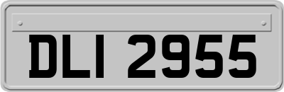 DLI2955