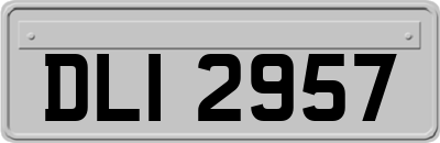 DLI2957