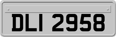 DLI2958
