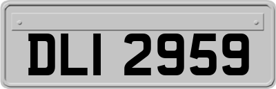 DLI2959