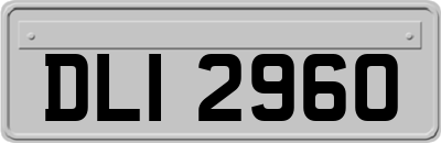 DLI2960