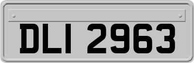 DLI2963