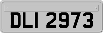 DLI2973