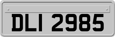 DLI2985
