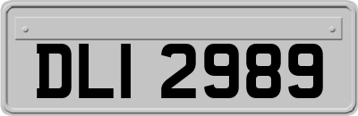 DLI2989