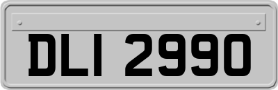 DLI2990